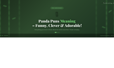 panda_puns_meaning
