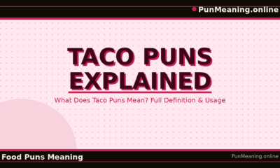 taco_puns_explained