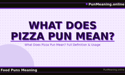 what_does_pizza_pun_mean