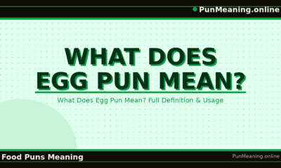 what_does_egg_pun_mean