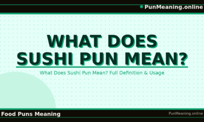 what_does_sushi_pun_mean
